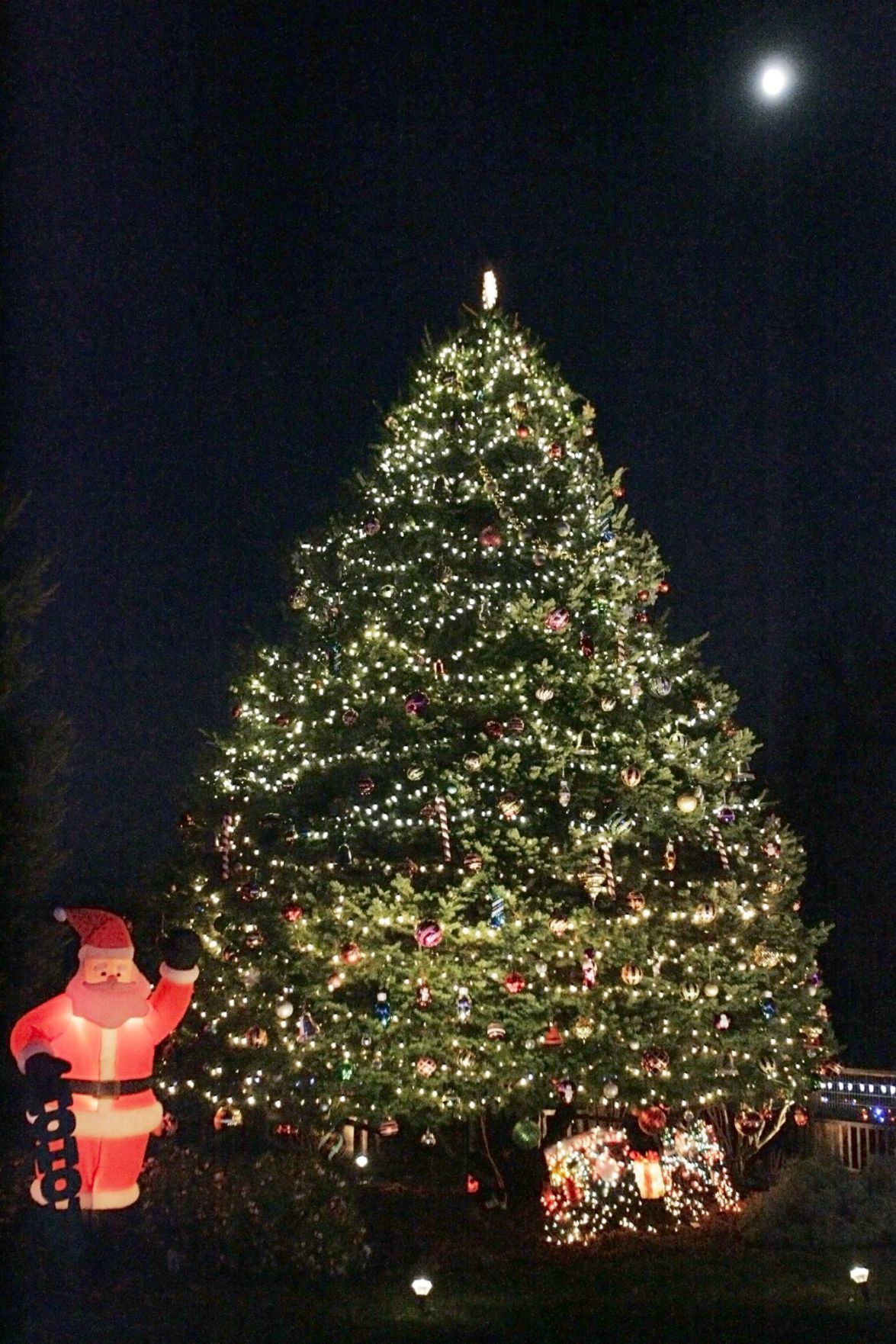 El Centro home lights up the night with Christmas decor